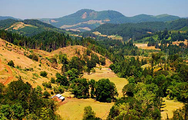 Forests and farmland in Douglas County