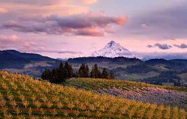 Find out how we're taking action to protect Oregon's farmland
