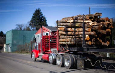 Timber in Oregon, image credit: Beth Nakamura/The Oregonian